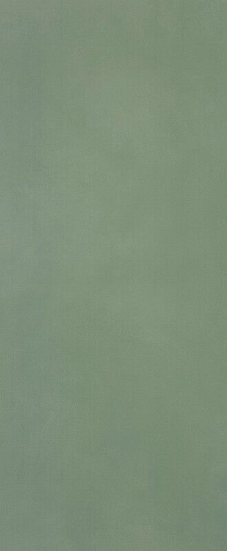 MATERIA BRILLANTE 50X120 BOSCO BRILLANTE