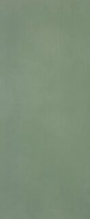 MATERIA BRILLANTE 50X120 BOSCO BRILLANTE