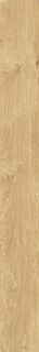 PLEIN AIR 20X180 GOLD MATT R9
