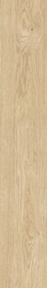PLEIN AIR 20X120 BEIGE MATT R9