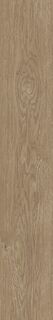 PLEIN AIR 20X120 NUT MATT R9