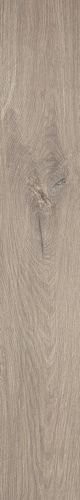 ROOTS 20X120 TAUPE OUT R11