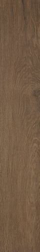 ROOTS 20X120 TOBACCO OUT R11