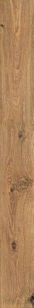 ROOTS 20X180 GOLD MATT R9