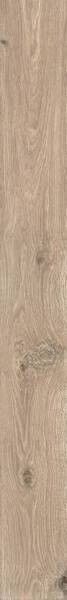 ROOTS 20X180 TAUPE MATT R9