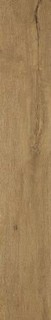 ROOTS 20X120 GOLD OUT R11