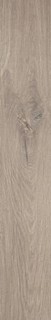 ROOTS 20X120 TAUPE OUT R11