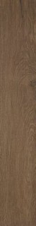 ROOTS 20X120 TOBACCO OUT R11