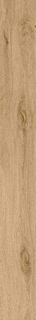 ROOTS 20X180 HONEY MATT R9