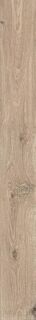 ROOTS 20X180 TAUPE MATT R9