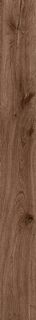 ROOTS 20X180 TOBACCO MATT R9