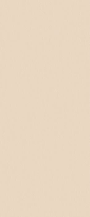 TRUE COLOR 50X120 TALC MATT