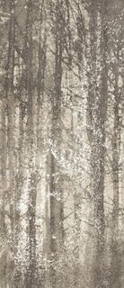 YLICO 120X278 WOOD FOG