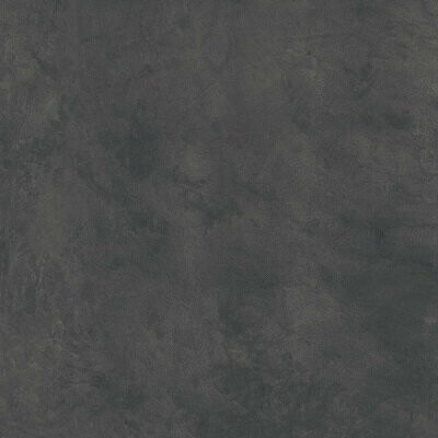 BUILDTECH 2.0 CE COAL R+PTV 60X60 RET