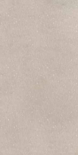 EARTHTECH DESERT_GROUND R11 20MM 60X120 R
