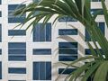 Harmony Peronda Group GLINT