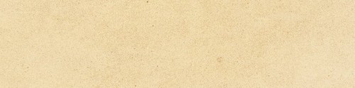 NIZA MUSTARD/9,2X37