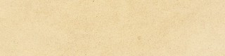 NIZA MUSTARD/9,2X37