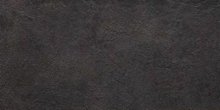 CONPROJ 36N