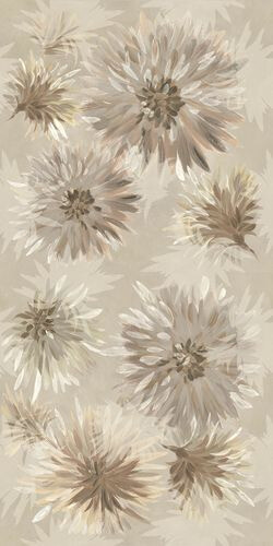 BLOOM6 12 RM
