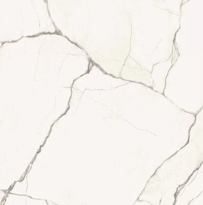 STA VP6 60 LP 