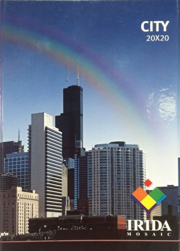 City 20x20