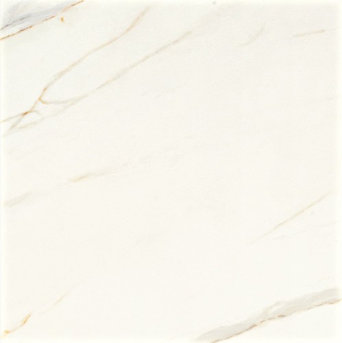 DIGIT CALACAT.RETT. 60X60