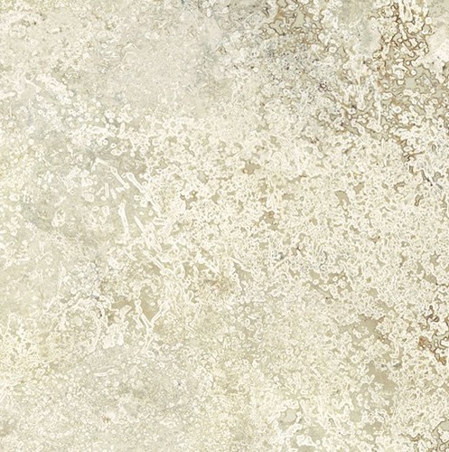 TRAVERTINO CREAM SQ. 60X60