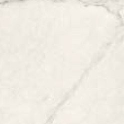 APUANO ANTICATO SQ. 60X60