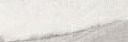 APUANO RULLATO SQ. 20X60