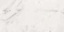 STATUARIO SQ. 30X60