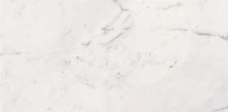 STATUARIO SQ. 120X60