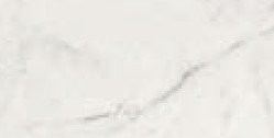 STATUARIO LIV.SQ.SPAZZ. 30X60