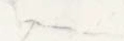 STATUARIO LIV.SQ.SPAZZ. 20X60