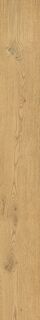 Aura Premium Gold 20X160/Аура Премиум Голд 20X160