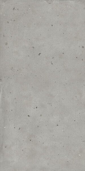 Avantgarde Silver 60х120 Ret X2