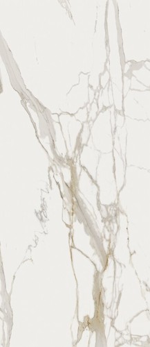 Charme Evo Calacatta Lux Rett 120x278