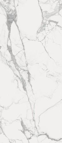 Charme Evo Statuario Lux Rett 120х278