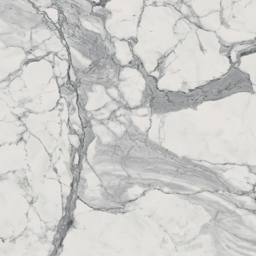 Charme Evo Statuario Nat Rett 60x60 (610010000778)