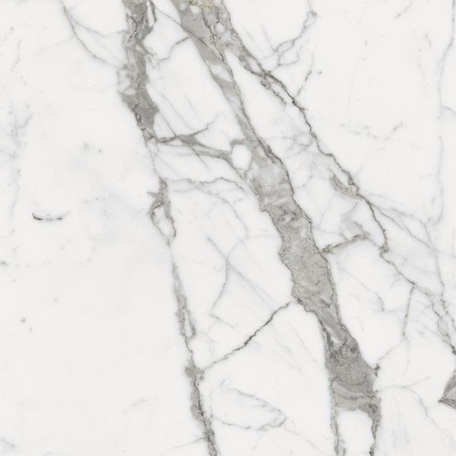 Charme Evo Statuario Nat Rett 80x80 (610010001678)