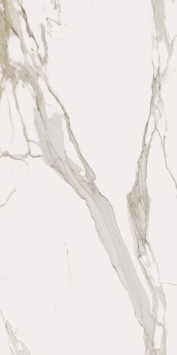 Charme Evo Calacatta Nat Rett 80x160