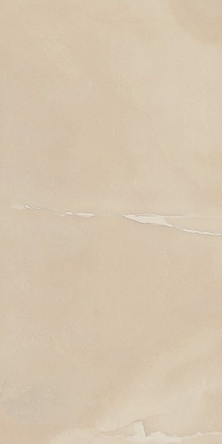Charme Evo Onyx Cer Rett 30x60 (610015000237)