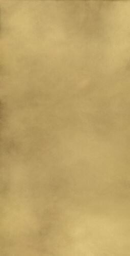 CONTINUUM BR.GOLD 80X160 LAP