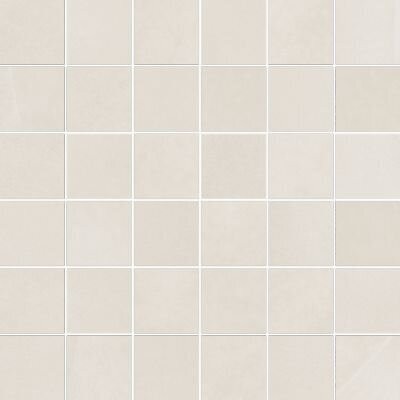 CONTINUUM  POLAR MOSAICO