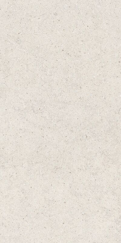 FORUM STONE POLAR 60X120
