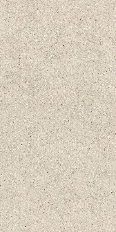 FORUM STONE PURE 60X120