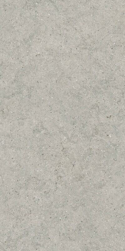 FORUM STONE SILVER 60X120
