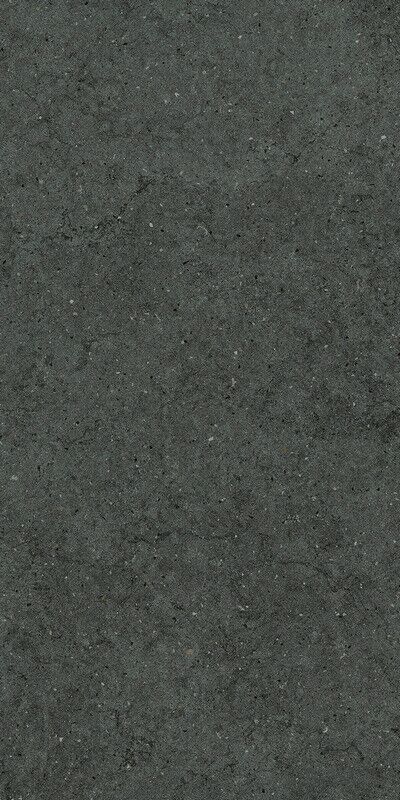FORUM STONE PETROL 60X120