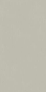 FORUM SLIM SILVER 60X120