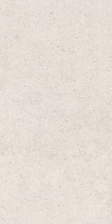 FORUM STONE POLAR 60X120